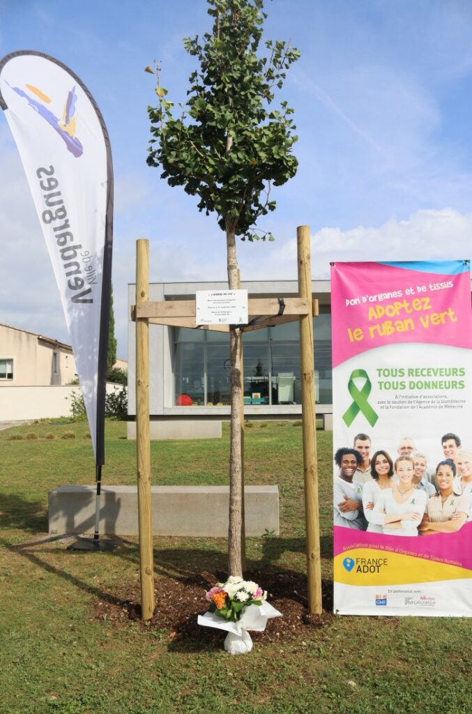 adot-arbre-vie-2023 (1)
