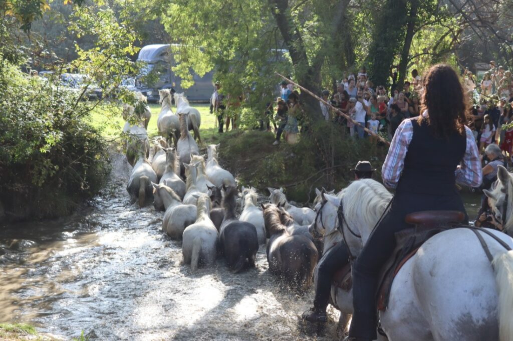 fete-cheval-2023 (3)