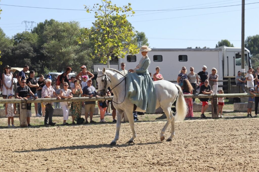 fete-cheval-2023 (6)