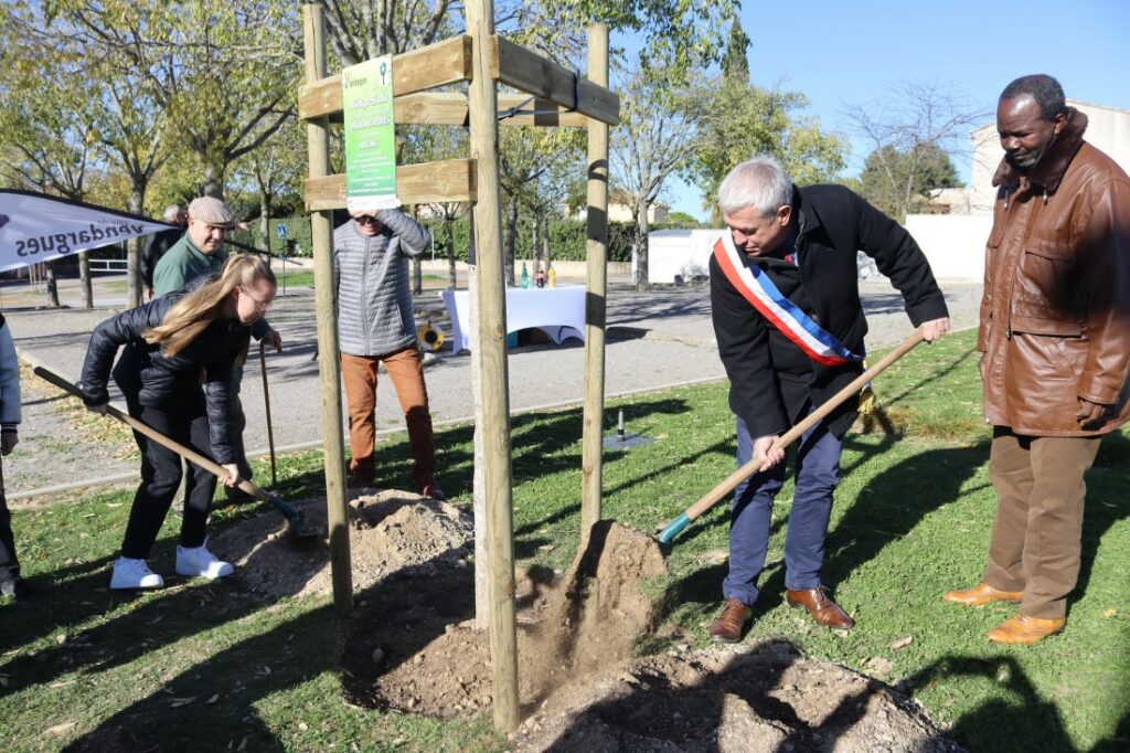 arbre-vie-2023 (1)