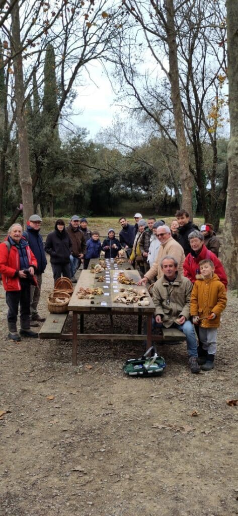 champignons-agenda30-2024 (3)