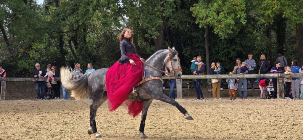 fete-cheval-a-2025