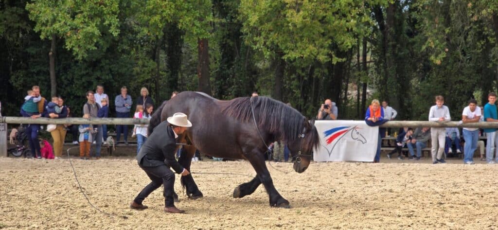 fete-cheval-b-2025
