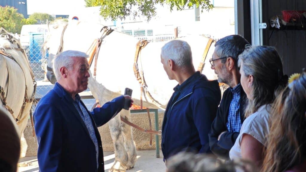 visite-hippo-b-2026
